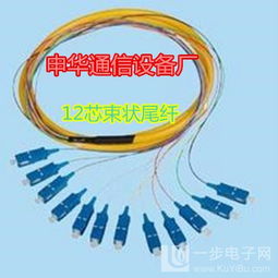 12芯束狀尾纖 通信設(shè)備銷(xiāo)售中的關(guān)鍵組件與高效供應(yīng)